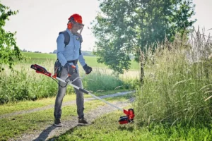 einhell accu bosmaaier